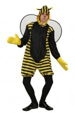 Costume Abeille Homme