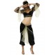 Costume Oriental du Harem