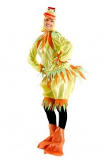 Costume Canard Femme