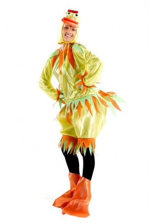 Costume Canard Femme