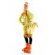 Costume Canard Femme