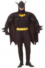 Deguisement Super Heros Chauve Souris