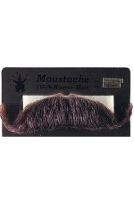 Fausse Moustache Major