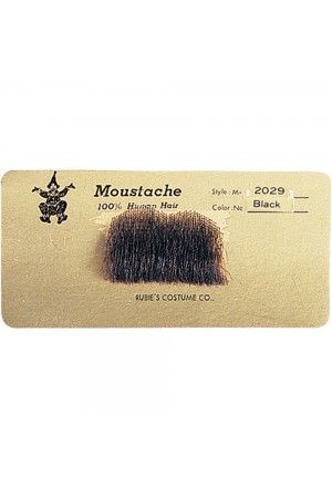 Fausse Moustache Charlie