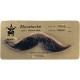 Fausses Moustaches Belle Epoque