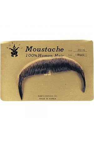 Fausse Moustache Favoris