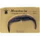 Fausse Moustache Favoris