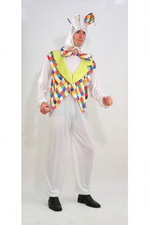 Costume de lapin coloré