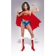 Costume adulte Wonder Woman™