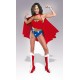 Costume adulte Wonder Woman™