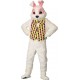 Costume Mascotte lapin blanc - Taille Unique / coloris Blanc