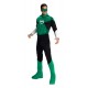 Costume  luxe Green Lantern™