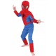 Costume Spiderman enfant cagoule