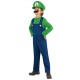 Costume Luigi enfant