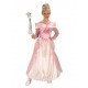 Robe de Princesse Aurore