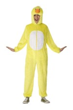 D&eacute;guisement de Canard