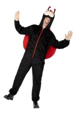 D&eacute;guisement de Coccinelle