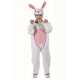 Costume Lapin Enfant